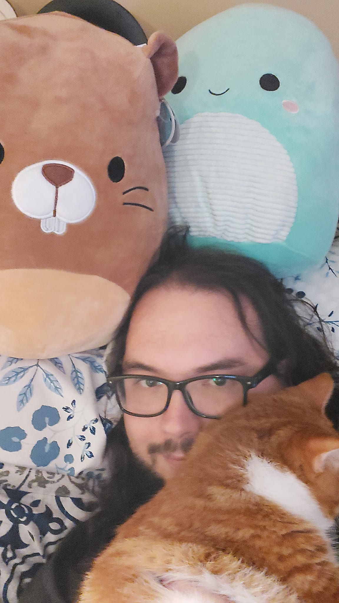 A man with long dark hair and a beard lies in bed with two Squishmallows, a beaver and a Nessie, and an orange cat, photo 2